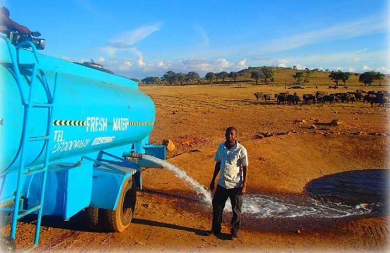 Foto: reprodução / TheDodo||||