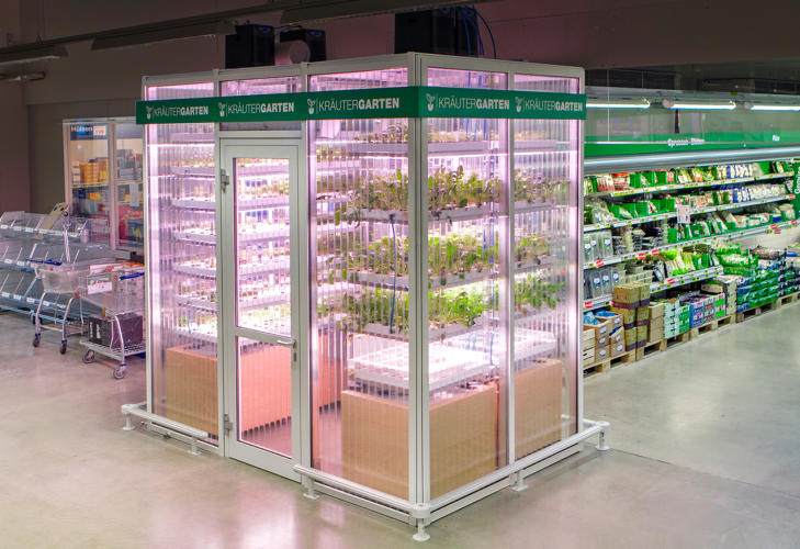 Estufa em mercado de Berlim - Foto: reprodução / TGP