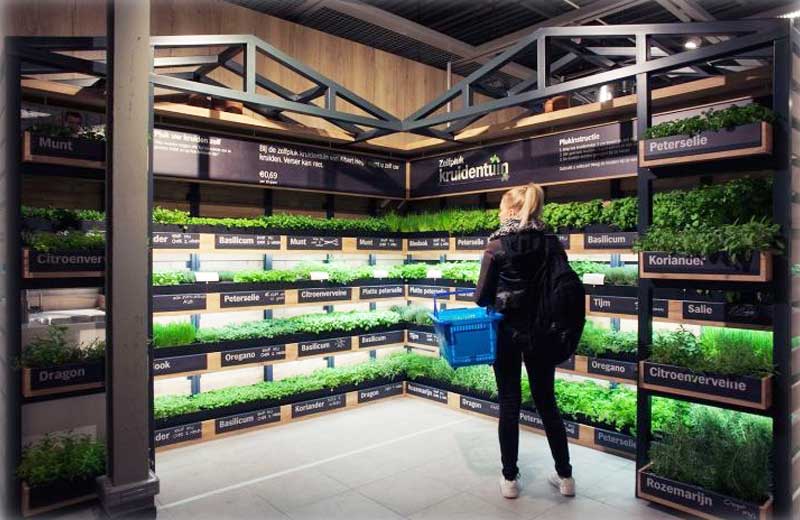 Foto: reprodução / TGP||