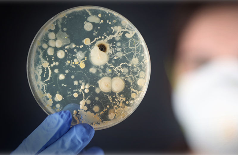 Foto: reprodução / History