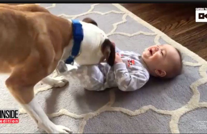 Foto: reprodução / InsideEdition / Caters News Agency