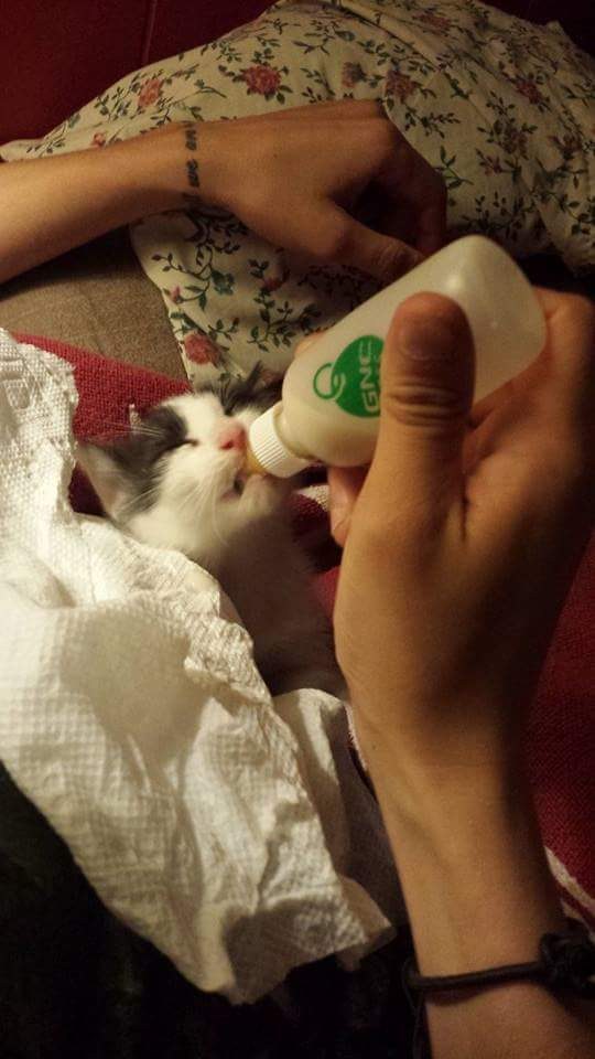 Foto: Claudia Wright