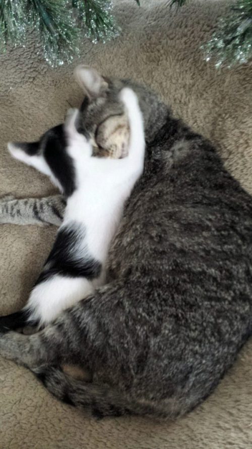 Foto: Claudia Wright