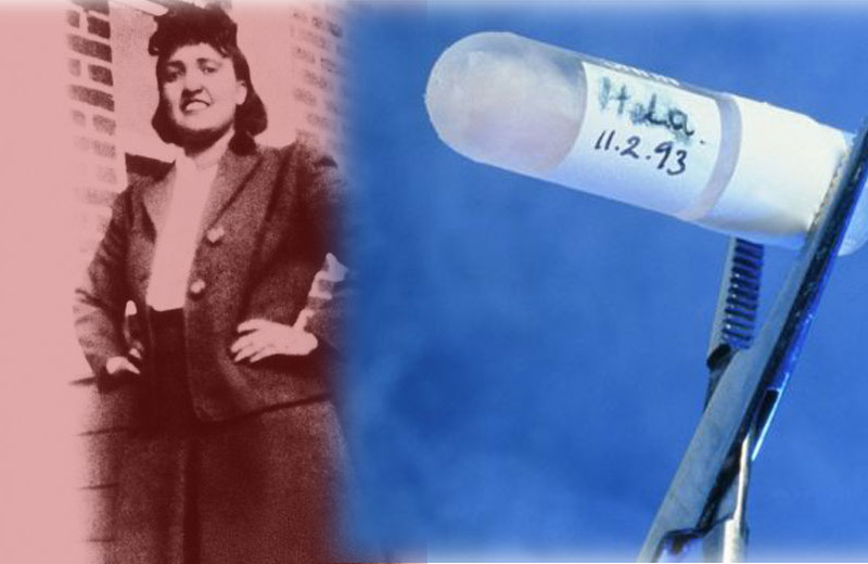 Foto: Science Photo Library