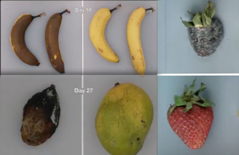 Fotos: reprodução / Youtube / Apeel Sciences|Foto: Divulgação Appel Sciense