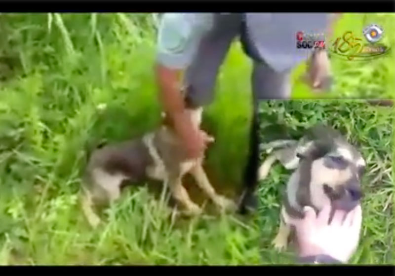 Foto: reprodução / PMSP - Youtube