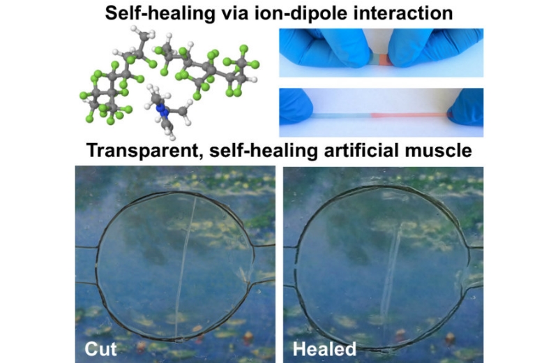 Foto: American Chemical Society (ACS)