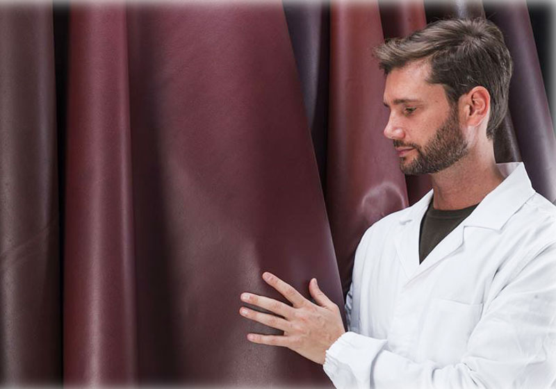 Foto: Wineleather / reprodução Facebook|