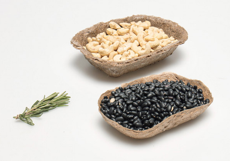 Foto: Felix Pöttinger|Foto: Felix Pöttinger