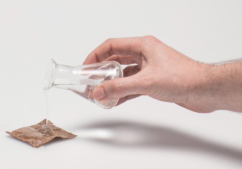 Foto: Felix Pöttinger