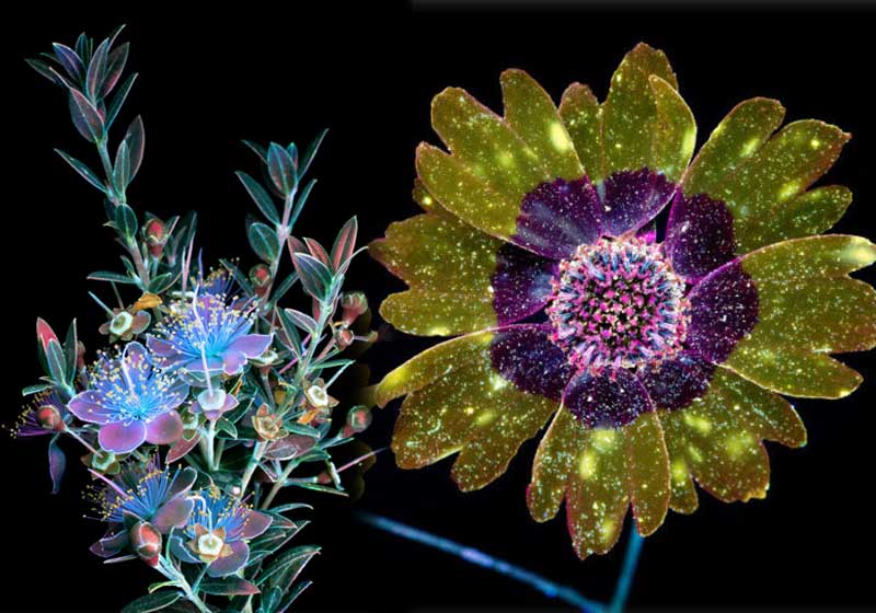 Fotos: Craig Burrows|||||||