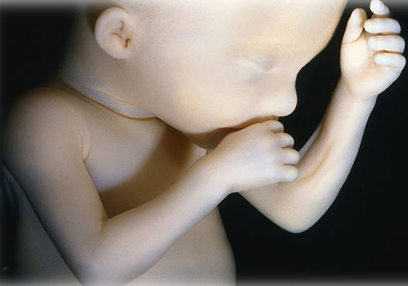 Foto: Medical-on-Line / Alamy/Alamy|Foto: Partridge et al/Nature Communications