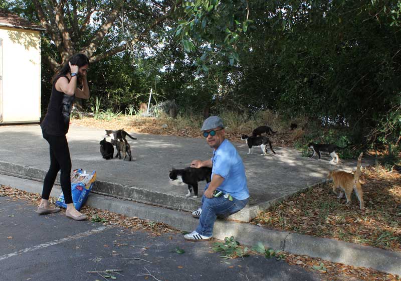 Foto: Rodrigo Lins / SNB
