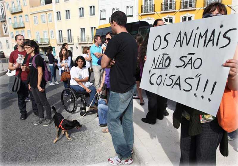 Foto: reprodução / TSF