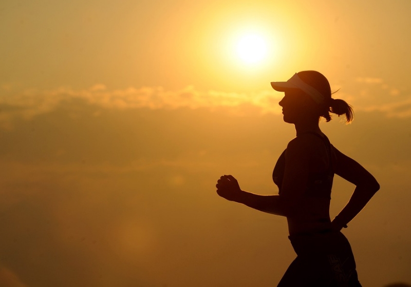 Foto: pixabay|contrações rápidas nas fibras musculares de rato Crédito: Salk Institute / Centro de Waitt