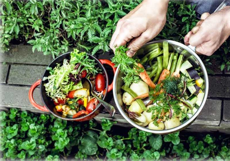 Hotel chinês tem Farm to Table. - Foto: Divulgação|||