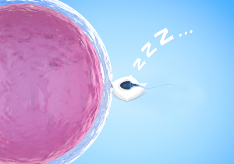 Foto: PhonlamaiPhoto/iStock