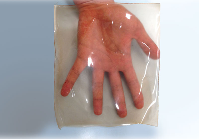 plástico criado USP com resíduos de babaçu – Foto: Divulgação/FFCLRP