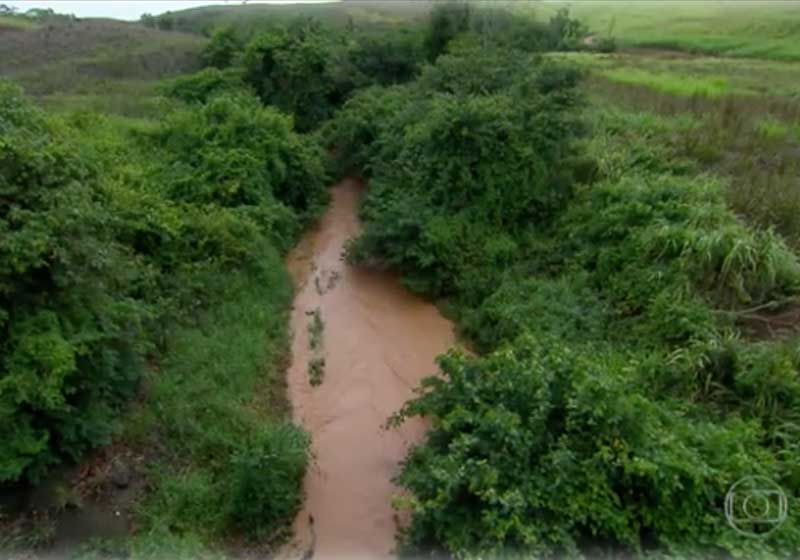 Mata recuperada - Foto: reprodução / TV Globo