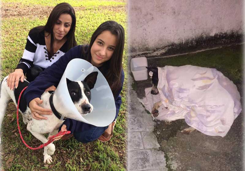 Fotos: reprodução / Facebook||