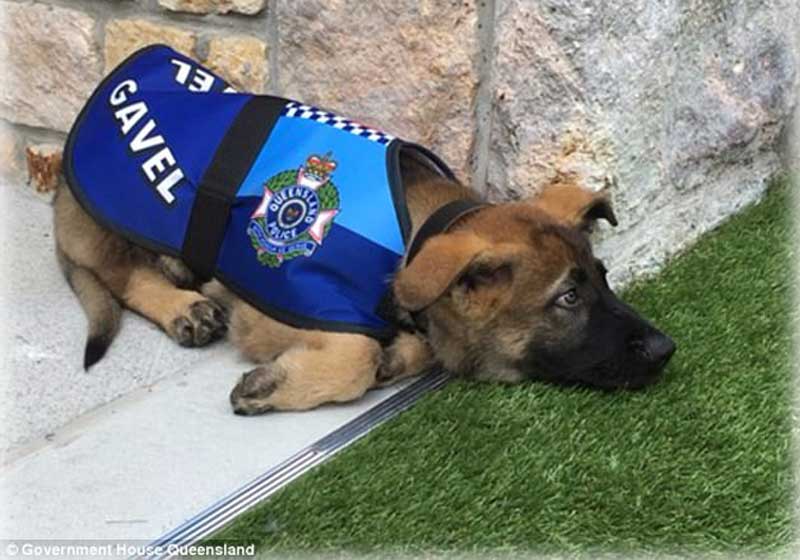 Foto: Government House Queensland||