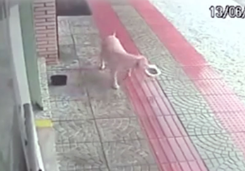 Fotos: câmera de segurança|