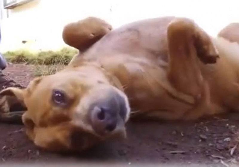 Foto: reprodução / TV Record