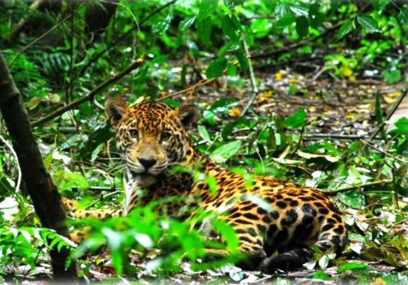 Foto: reprodução / TGP