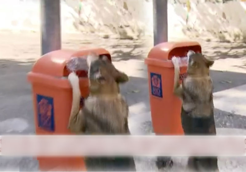 Foto: reprodução / GloboNews