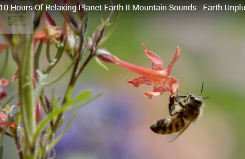 Foto: Reprodução YouTube|Foto: Reprodução YouTube|Foto: Reprodução YouTube