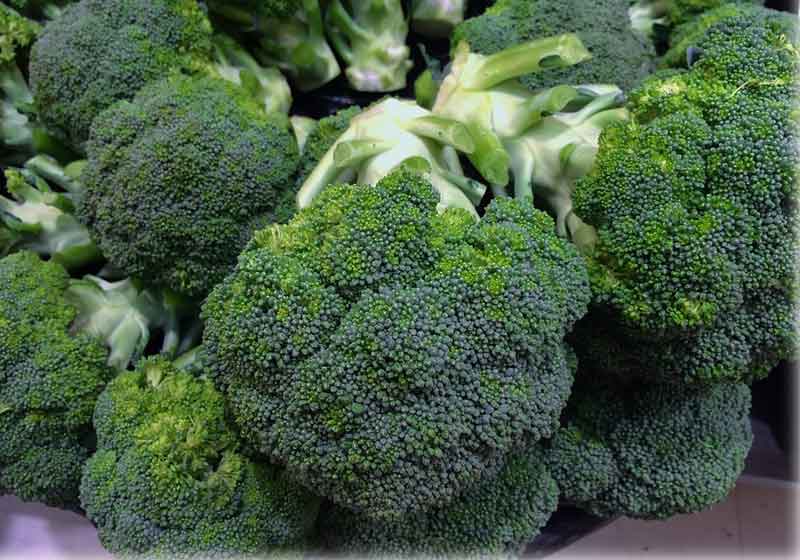 Brócolis - Foto: Pixabay
