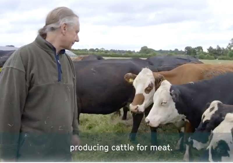 Foto: reprodução / BBC|