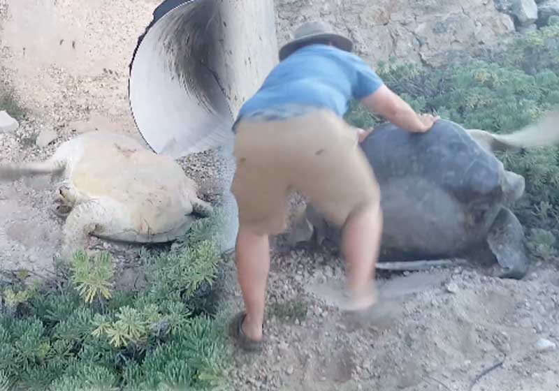 Fotos: reprodução / Youtube