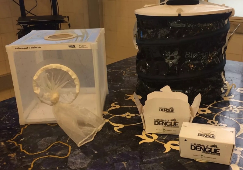 Foto: Alba Valéria Mendonça / G1