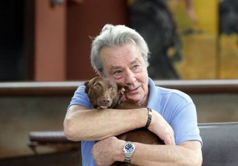 |Foto: Reprodução|Delon era galã do cinema Foto: Reprodução