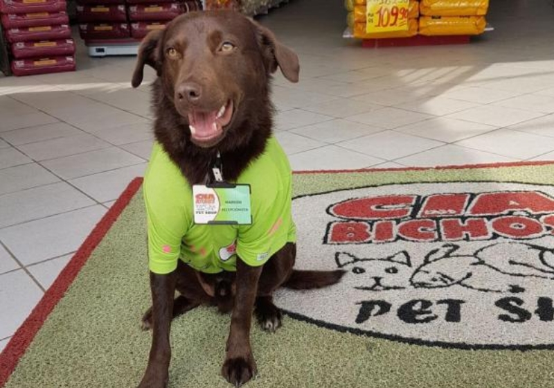 Foto: Márcia Streppel / Arquivo pessoal