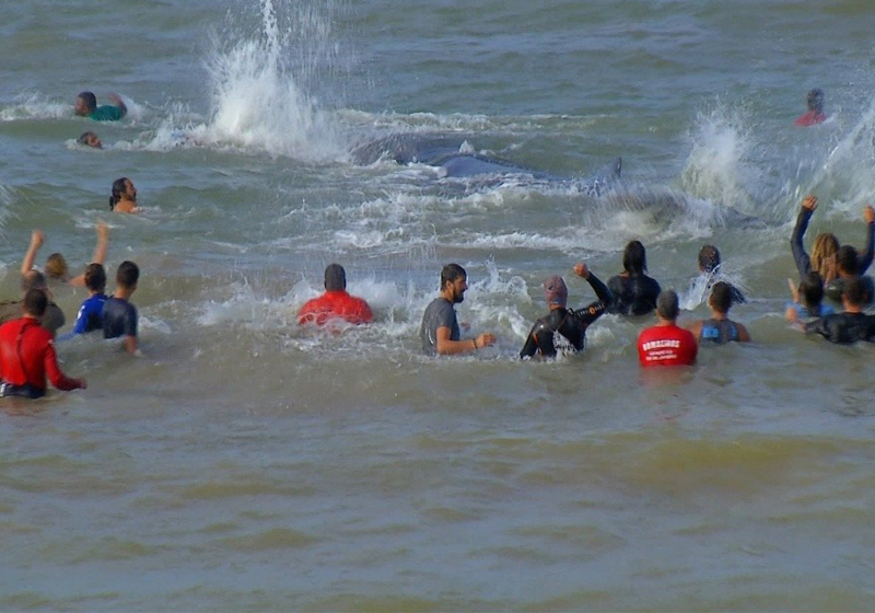 Foto: Reprodução TV Globo