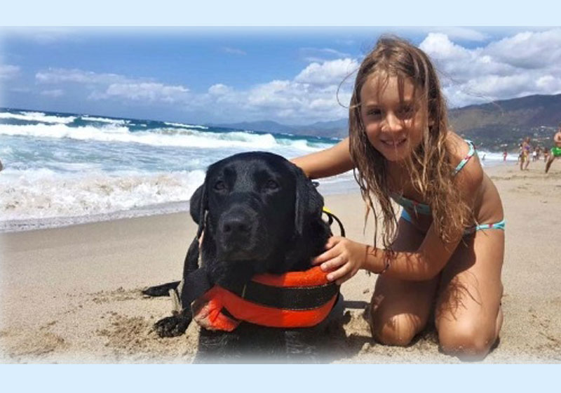 Foto: reprodução / Facebook