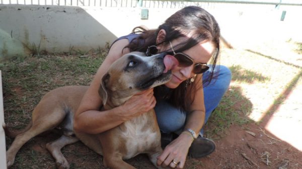 Foto: Tribunal de Justiça DF
