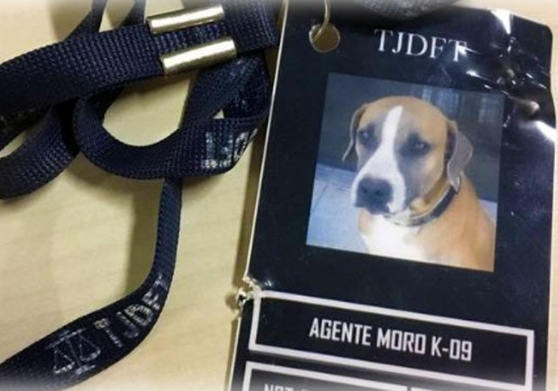 Foto: arquivo pessoal / Ana Maria Matias|