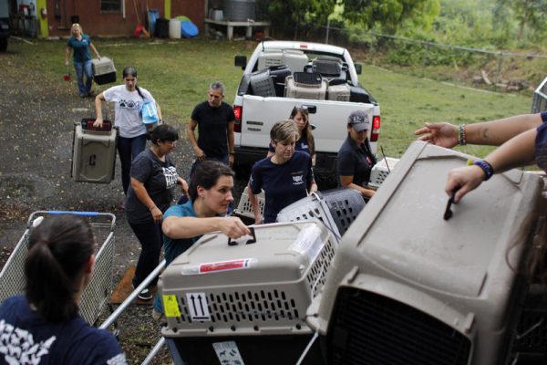 Foto: AP/Ricardo Arduengo