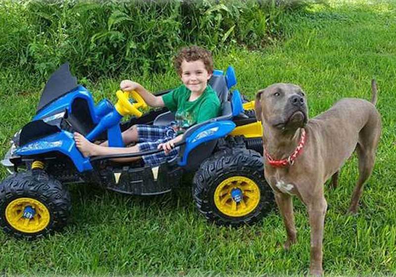 Zayden e Slayer - Foto: GNN