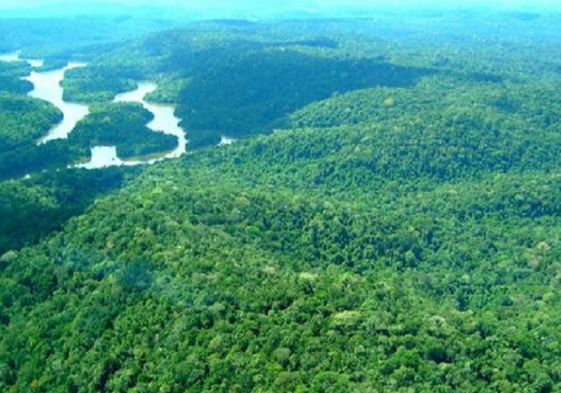 |Foto: Agência Pará