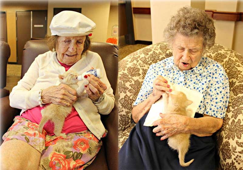 Fotos: Catalina Springs Memory Care||