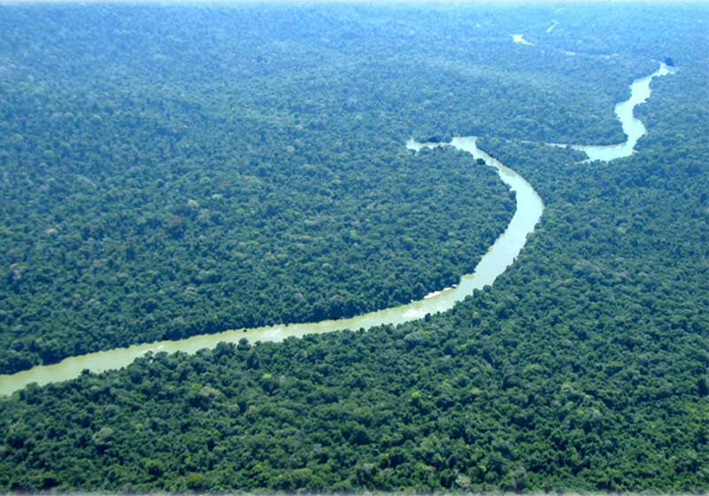 Amazônia - Foto: reprodução / PortalBrasil