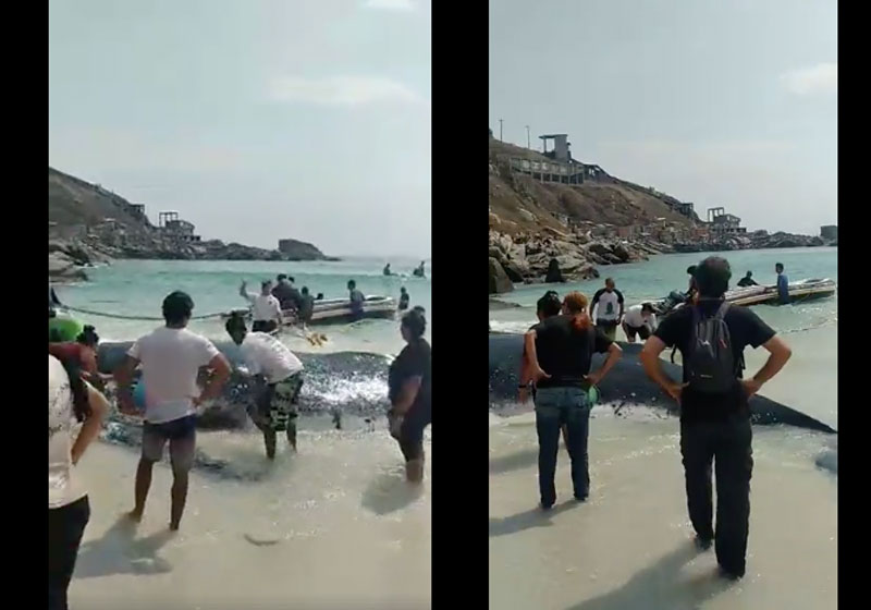 Fotos: reprodução / Facebook / Pref.Arraial do Cabo