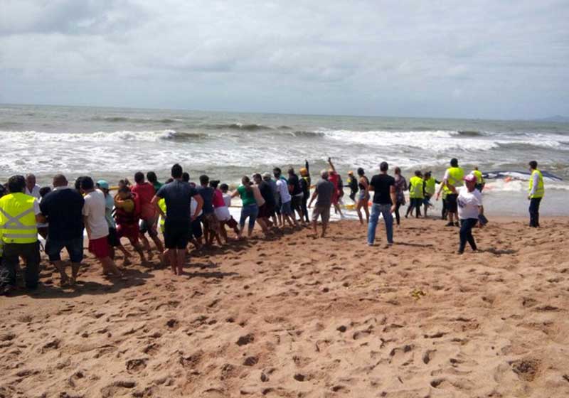 Foto: PMP-BS/Divulgação