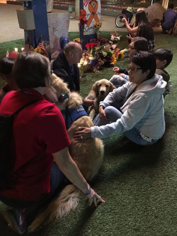 Fotos:  LCC K-9 COMFORT DOGS / Facebook