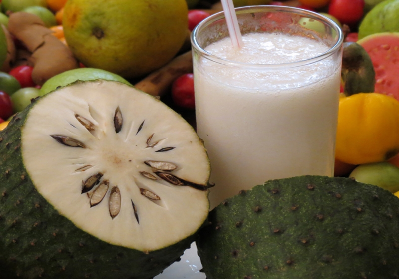 Graviola - Foto: Reprodução