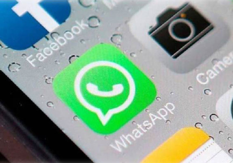 Foto: reprodução||